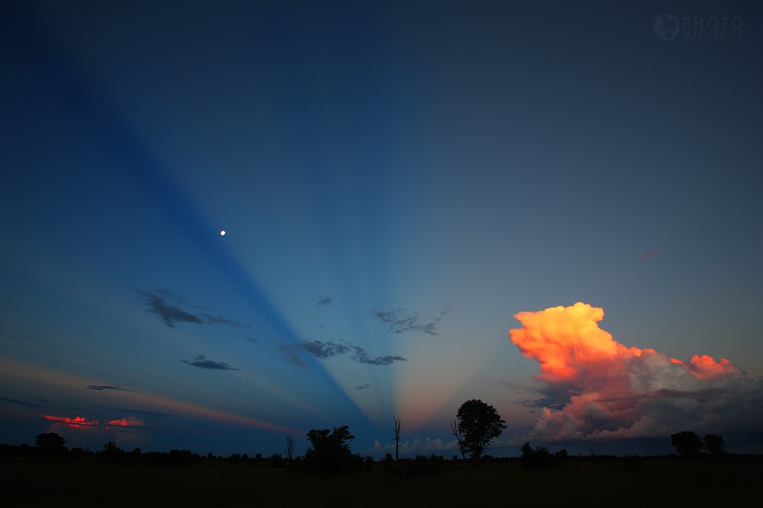 Sunset in Africa