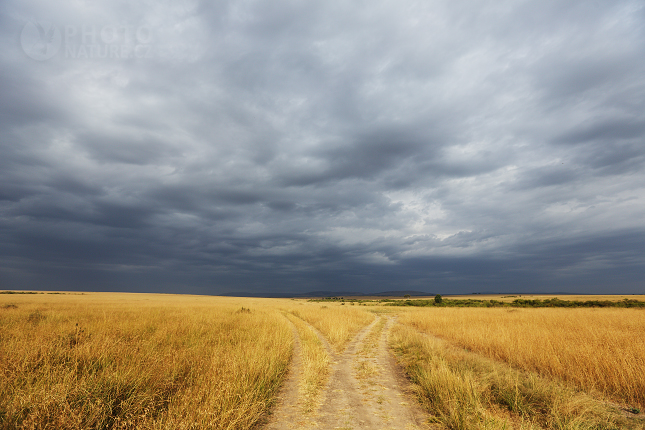 African Landscape, Masai Mara