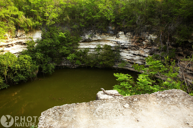 Májská Cenotes, Mexiko