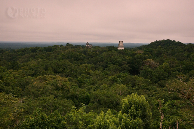 Tikal, ztracené město Májů