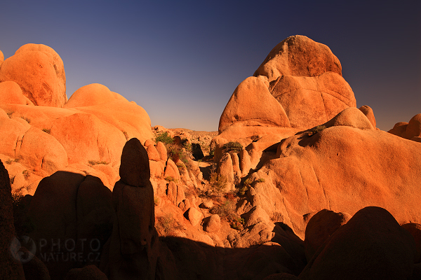 Joshua Tree Národní park, USA