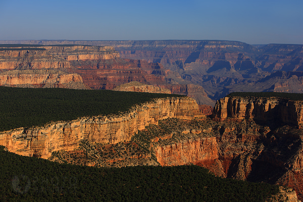 Grand Canyon NP, Arizona USA