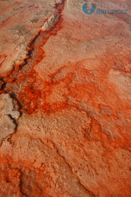 Salt plains, Cabo Verde