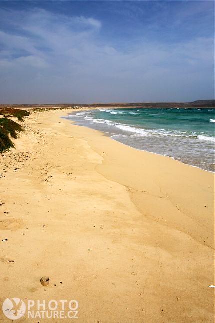 Sharks bay, Cabo Verde