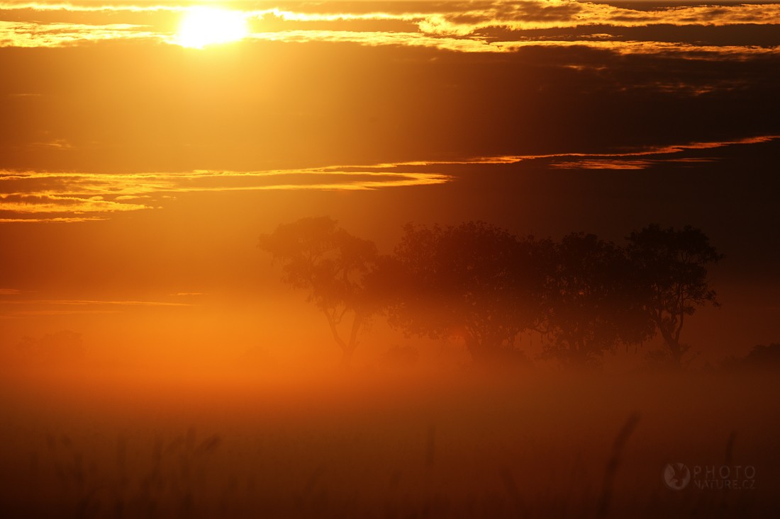 Delta řeky Okavango