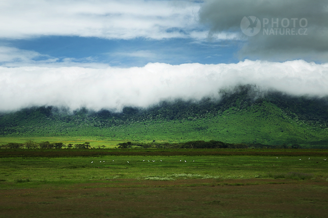 Krajina v kráteru Ngorongoro