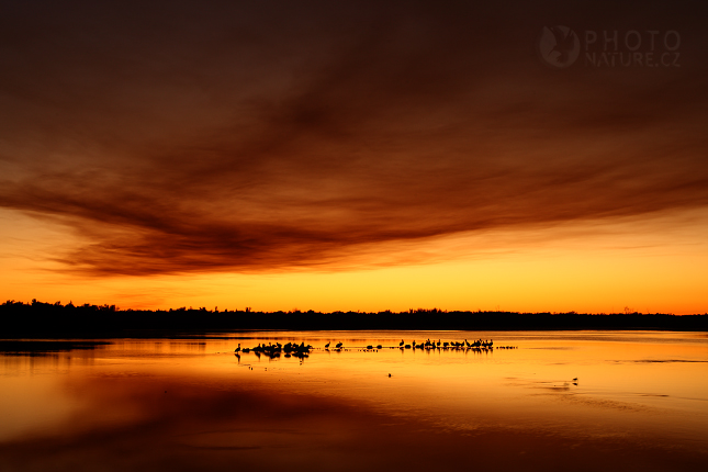 Západ slunce na lagunou, Florida