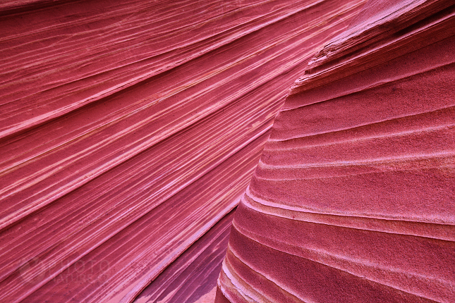 The Wave, Coyote Buttes, Paria Utah