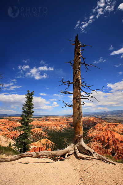 Bryce Canyon, Utah